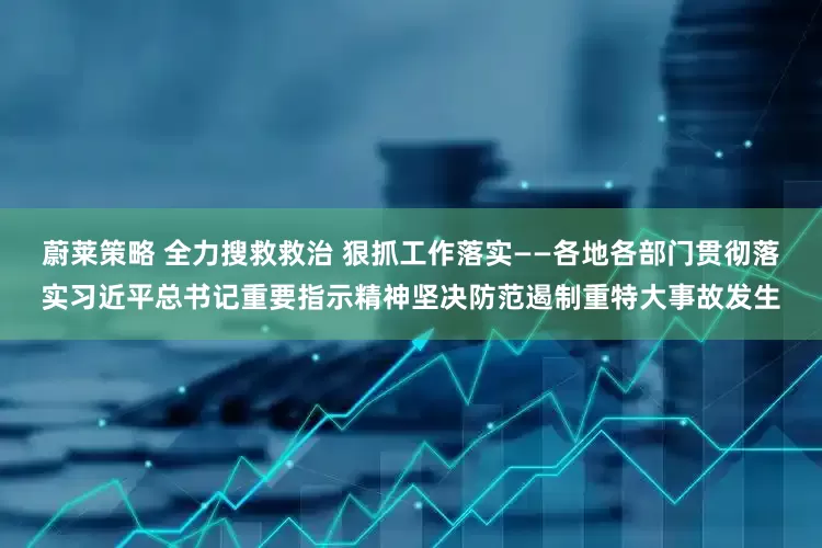 蔚莱策略 全力搜救救治 狠抓工作落实——各地各部门贯彻落实习近平总书记重要指示精神坚决防范遏制重特大事故发生