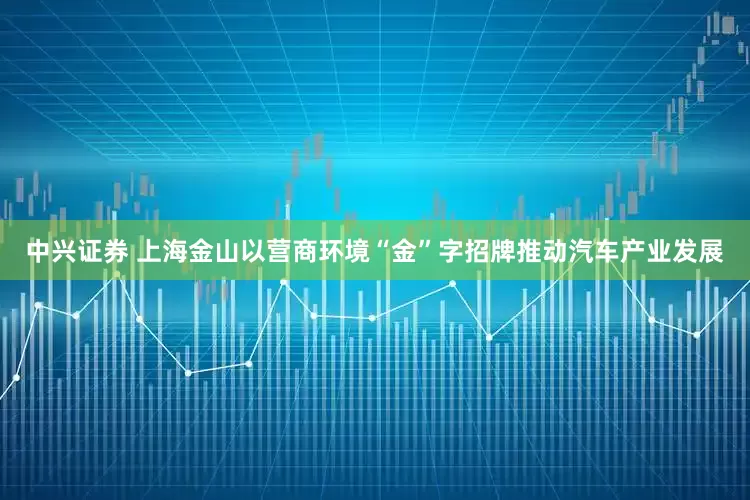 中兴证券 上海金山以营商环境“金”字招牌推动汽车产业发展