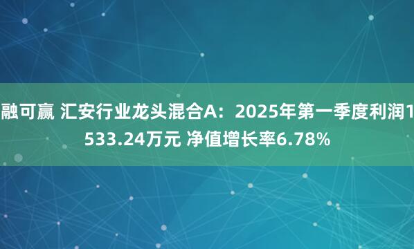融可赢 汇安行业龙头混合A：2025年第一季度利润1533.24万元 净值增长率6.78%